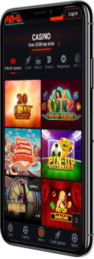 Mobil Tətbiq Görüntüsü